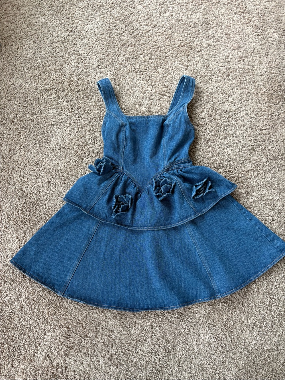 Denim rose dress - Picture 4 of 5